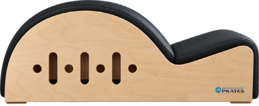 SPINE CORRECTOR - Summer Special Price!
